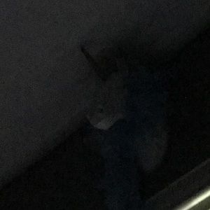 Meet your Posher, Breahna